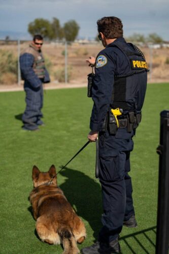 hendersonpolice (23)